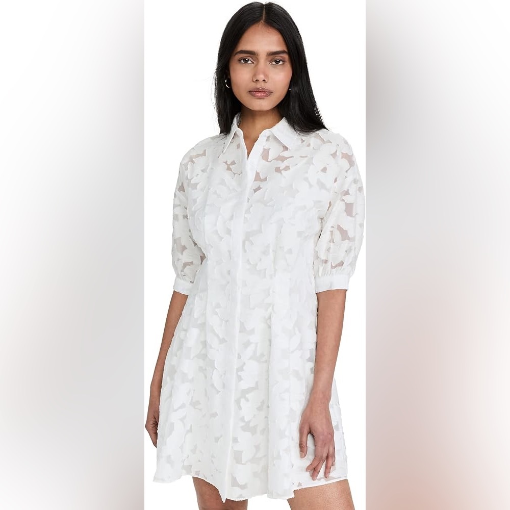 Club Monaco Sculptural Sleeve Lace Dress